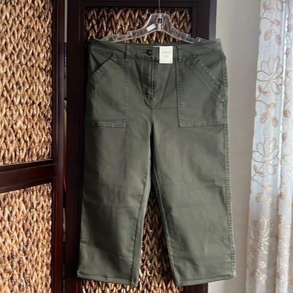 NWT Papaya capris hemmed shorter but never wore stretchy great fabric ππΌπ¦ - Picture 1 of 7